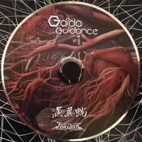 Gaida– Guidance