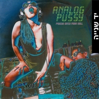 Analog Pussy – Psycho Bitch From Hell