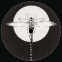 Purple – Cascades / Anoxic