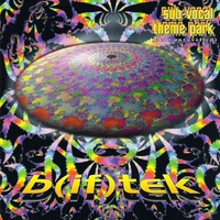 B(if)tek – Sub-Vocal Theme Park (Acid Unravelled)