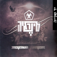 סינרגיה- השתקפות