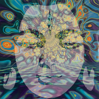Organic Noise – Labyrinth Of Colours / Acid Soul