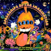 Raja Ram – Spaceships Of The Imagination