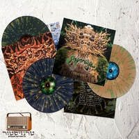 Shpongle – Codex VI
