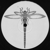 Hallucinogen – Fluoro Neuro Sponge / Astral Pancakes