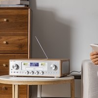 מערכת שמע SAFA MIC-256 COSY - עץ בהיר