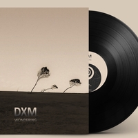 DXM - Wondering