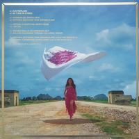 Shpongle ‎– Ineffable Mysteries From Shpongleland (Extended Edition)