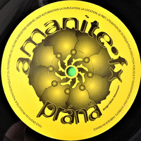 Amanite FX & Práná – Black Rain