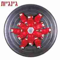 ג'ינג'יות- תקליט אדום