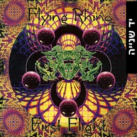 Various ‎– First Flight