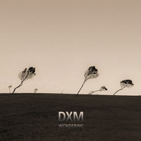 DXM - Wondering