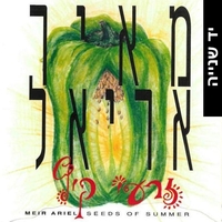 מאיר אריאל- זרעי קיץ