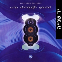 Various – Trip Through Sound