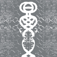 Digitalis – The Fourth State
