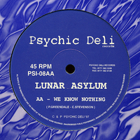 Lunar Asylum – Water Margin / We Know Nothing