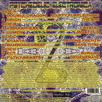Various – Psychedelic Electronica 2