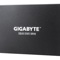 דיסק פנימי GIGABYTE GP-GSTFS31256GTND SSD 256GB SATA