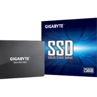 דיסק פנימי GIGABYTE GP-GSTFS31256GTND SSD 256GB SATA