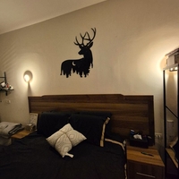 غزال اللّيل