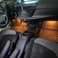 שטיחי 3D לסיטרואן C4 גרנד פיקאסו / ספייסטורר 2013 ומעלה NO77