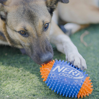 כדור פוטבול דנטלי