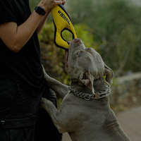 Tonka Tough Infinity Tug – למשחקי משיכה ולעיסה Tonka Tough Infinity Tug – למשחקי משיכה ולעיסה