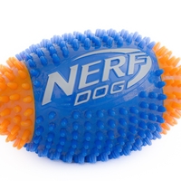 כדור פוטבול דנטלי