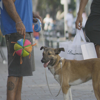 כדור רצועות ומרקמים צבעוני NERF כדור רצועות ומרקמים צבעוני NERF