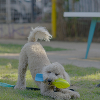 משחק וורטקס NERF זוהר בחושך משחק וורטקס NERF זוהר בחושך