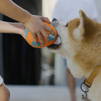 כדורגל לעיס ומצייץ מחומר נעים