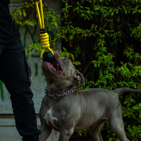 🐾 Tonka Tug Rope Dog Toy – צעצוע משיכה לכלבים 🐾 Tonka Tug Rope Dog Toy – צעצוע משיכה לכלבים