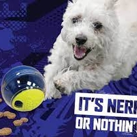 כדור משחק האכלה - NERF SLOW FEEDER