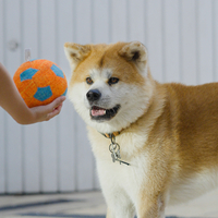כדורגל לעיס ומצייץ מחומר נעים