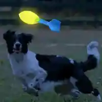 משחק וורטקס NERF זוהר בחושך