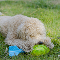 משחק וורטקס NERF זוהר בחושך משחק וורטקס NERF זוהר בחושך