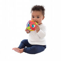 כדור רעשן נשכן PlayGro