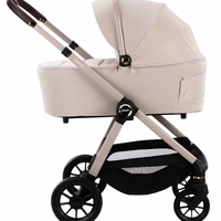 עגלה ליאונה שמפנייה INFNTI