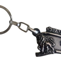 מחזיק מפתחות שאגת הארי