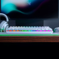 Razer Huntsman Mini (Red Switch)