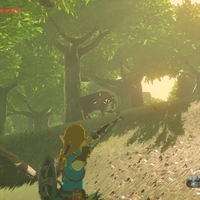 Nintendo Switch 2 -The Legend of Zelda: Breath of the Wild