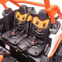באגי ממונע CAN-AM MAVRICK 24V