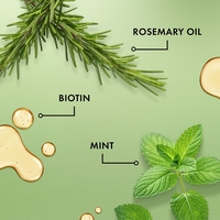 Mielle Rosemary Mint Strengthening Shampoo – שמפו רוזמרין ומנטה לחיזוק וצמיחת השיער (מועשר בביוטין) – 355 מ