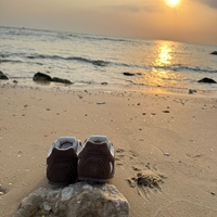 REPLAY - סניקרס לנשים COUNTRY ONE בהדפס מנומר חום