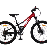 אופני הרים RL CAPPI 7 24