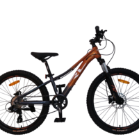 אופני הרים RL CAPPI PRO 24