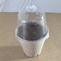 מארז לזריעה לט