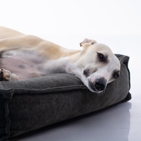 MAIKA - מיטת LUNA