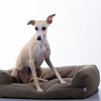 MAIKA - מיטת AMARO