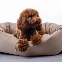 MAIKA - מיטת ARIA